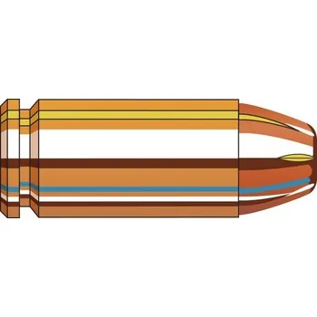 Sportovní střelba Hornady Náboj kulový Hornady, Custom, .40SaW, 155GR (10,0g), XTP