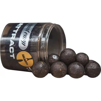 Návnadová surovina SQUAT CARP - Boilies v dipu Hi-Attract Anchovy+ 220 g 18 mm