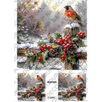 Umělecký papír Rýžový a soft papír na decoupage - Ptáček, lucerna, zima - KB2699 Materiál: Rýžový papír, Rozměr: A4