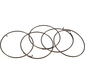 Náboj kola Náhradní díly FULCRUM pawl spring (5 pcs.)