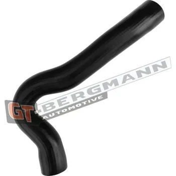 Turbodmychadlo Hadice plnícího vzduchu GT BERGMANN GT52-658