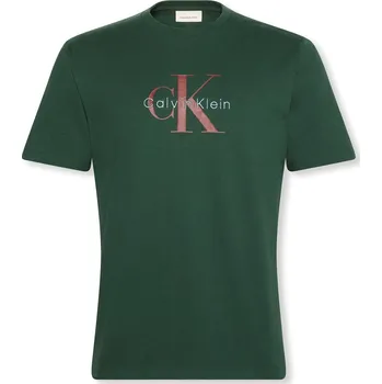 Pánské tričko Tričko Calvin Klein Jeans Sycamore LLG 1170360 M