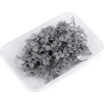 umělá květina Sušené / stabilizované hortenzie pro suché i mokré aranžování, barva 5 šedá světlá