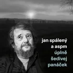 Úplně šedivej panáček - Jan Spálený &…