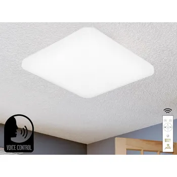 NEDES LED stropní lampa OPAL + DO + OVLÁDÁNÍ HLASEM 48W - LC902S/SV