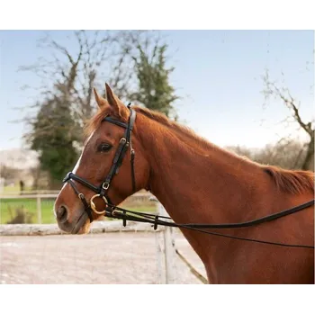 Gumový chambon NORTON černý