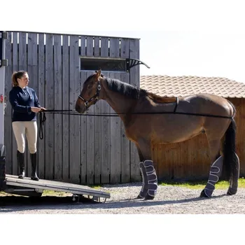 Postroj pro psa Postroj/pomůcka pro nakládání koně NORTON černý