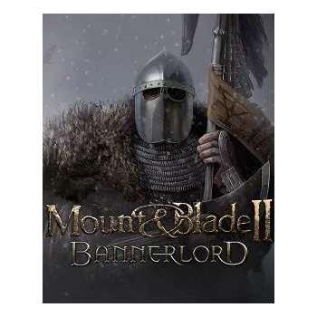 Počítačová hra ESD GAMES ESD Mount & Blade II Bannerlord ESD-7286