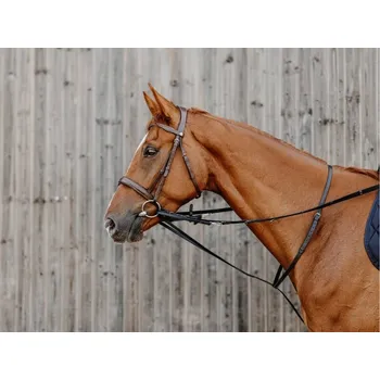 Pomocné otěže thiedemann NORTON PRO havana PONY