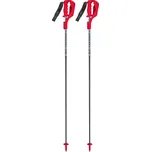 Sjezdové hole Van Deer Race SL Carbon