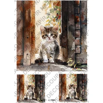 Umělecký papír Rýžový a soft papír na decoupage - Kočka ve vratech - KB01901 Materiál: Soft, Rozměr: A4