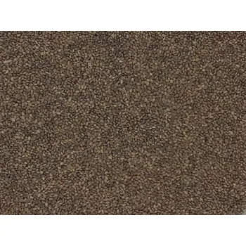 Krmivo pro ptáka Proso Zelené 1 kg