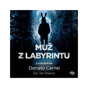 Muž z labyrintu MP3 download