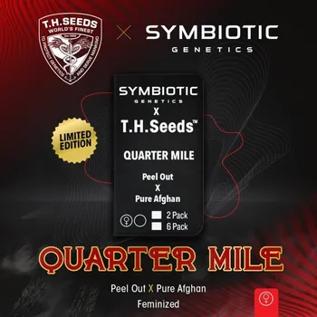 Semeno T.H. Seeds - Quarter Mile 2 ks
