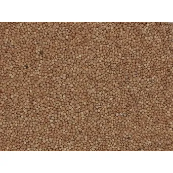 Krmivo pro ptáka Proso bílé 1 kg