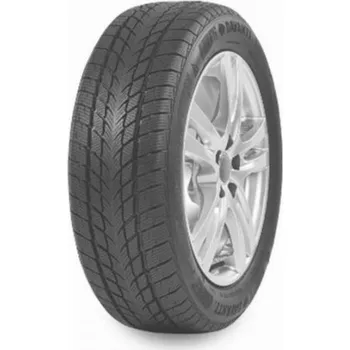 Zimní osobní pneu Davanti WINTOURA 215/60R16 99H