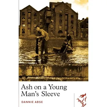Cizojazyčná kniha Ash on a Young Man's Sleeve - Abse, Dannie [EN] (2022, Taschenbuch, Parthian Books)
