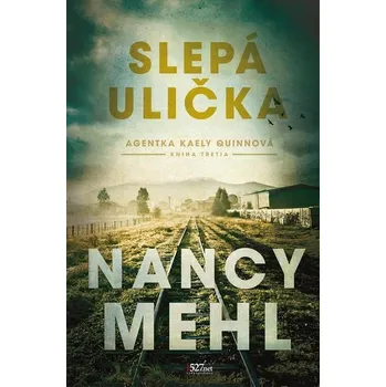 Kniha Slepá ulička [E-kniha] - Nancy Mehl