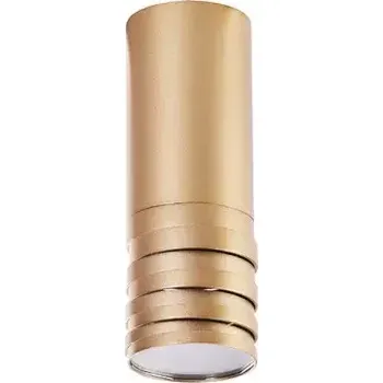 Moderní stropní svítidlo Locus champagne