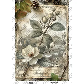 Umělecký papír Rýžový a soft papír na decoupage - Vintage příroda - KB01938 Materiál: Soft, Rozměr: A4