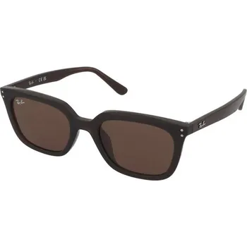 Sluneční brýle Ray-Ban RB4439D 6231/73