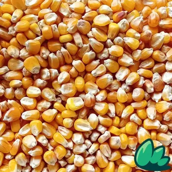 Krmivo pro ptáka Kukuřice 5 kg