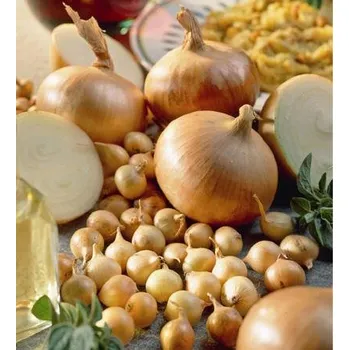 Semeno Cibule sazečka ozimá - Senshyu Yellow 180 g