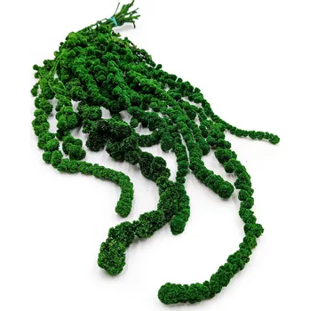 mech-mech.cz Stabilizovaný Laskavec extra ball - Amarant - zelený