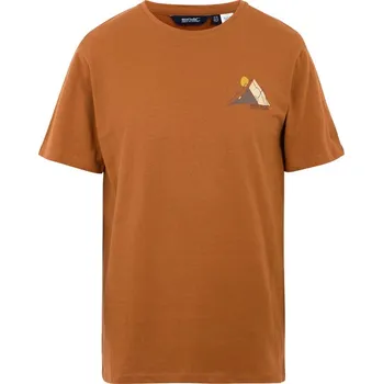 Triko Regatta Cline Barva: skořicová, Velikost: XXL, Pohlaví: Pánské