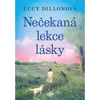 Nečekaná lekce lásky - Dillonová Lucy