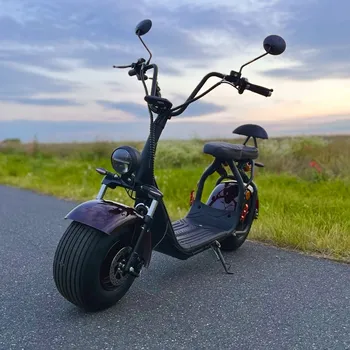 Elektrokoloběžka Leramotors Elektrokoloběžka Leramotors SCOOTERS C1+ 1500W 60V - hnědá