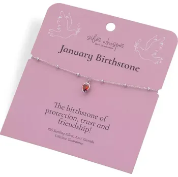 Náramek Hot Diamonds Silver Whisper January SWB025 Stříbrný náramek 17 cm