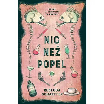 Nic než popel - Schaeffer Rebecca