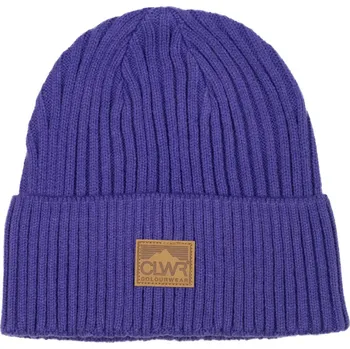 Čepice COLOURWEAR Badge Beanie fialový