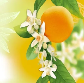 DOMESTIK 145/14912-1 pomeranč 3d tisk šíře 220cm / VELKOOBCHOD Ceník: VELKOOBCHOD: po celých rolích, bez odvíjení