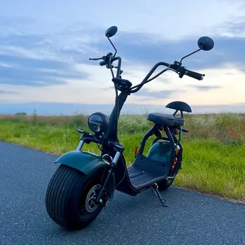 Elektrokoloběžka Leramotors Elektrokoloběžka Leramotors SCOOTERS C1+ 1500W - zelená