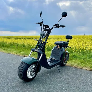 Elektrokoloběžka Leramotors Elektrokoloběžka Leramotors SCOOTERS C2 2000W - zelená