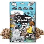 LyoPro Kuřecí játra 50 g ex 10/25