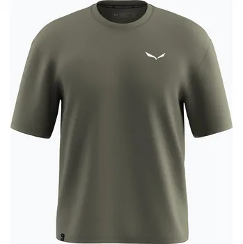 Pánské tričko Pánské tričko Salewa Eagle Glacier Loose faded green