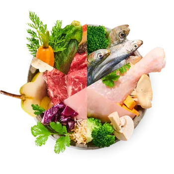 Krmivo pro psa BiBi FOOD BARF krmivo vařené - BiBi 7 denní mix