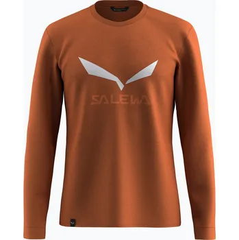Pánské tričko Pánské tričko Longsleeve Salewa Solidlogo Dry bombay brown