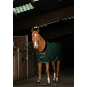 Deka pro koně EQUITHÈME Deka odpocovací Teddy Equithème, green/brown Délka zad: 125 cm