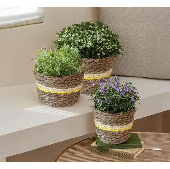 Květináč Obal na květináč z mořské trávy, sada 3 ks žlutá