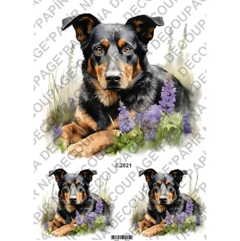 Umělecký papír Rýžový a soft papír na decoupage - Pes s květy - KB02021 Materiál: Soft, Rozměr: A4