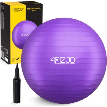 Gymnastický míč 4FIZJO Nafukovací gymnastický míč 4FIZJO 65cm FIALOVÁ