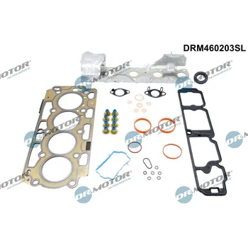 Těsnění motoru Kompletní sada těsnění, motor Dr.Motor Automotive DRM460203SL