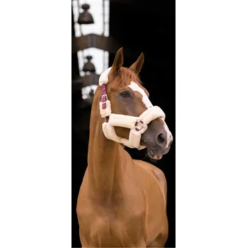 EQUITHÈME Ohlávka Teddy Equithème, burgundy/ecru FULL