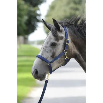 Bucas Ohlávka Dublin Bucas, navy/navy COB