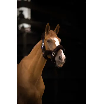 EQUITHÈME Ohlávka Teddy Equithème, navy/brown FULL