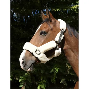 EQUITHÈME Ohlávka Teddy Equithème, black/ecru PONY